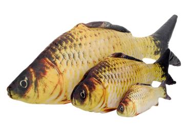 360Home Simulierte Karpfen Fisch Plüschkissen Katzenspielzeug